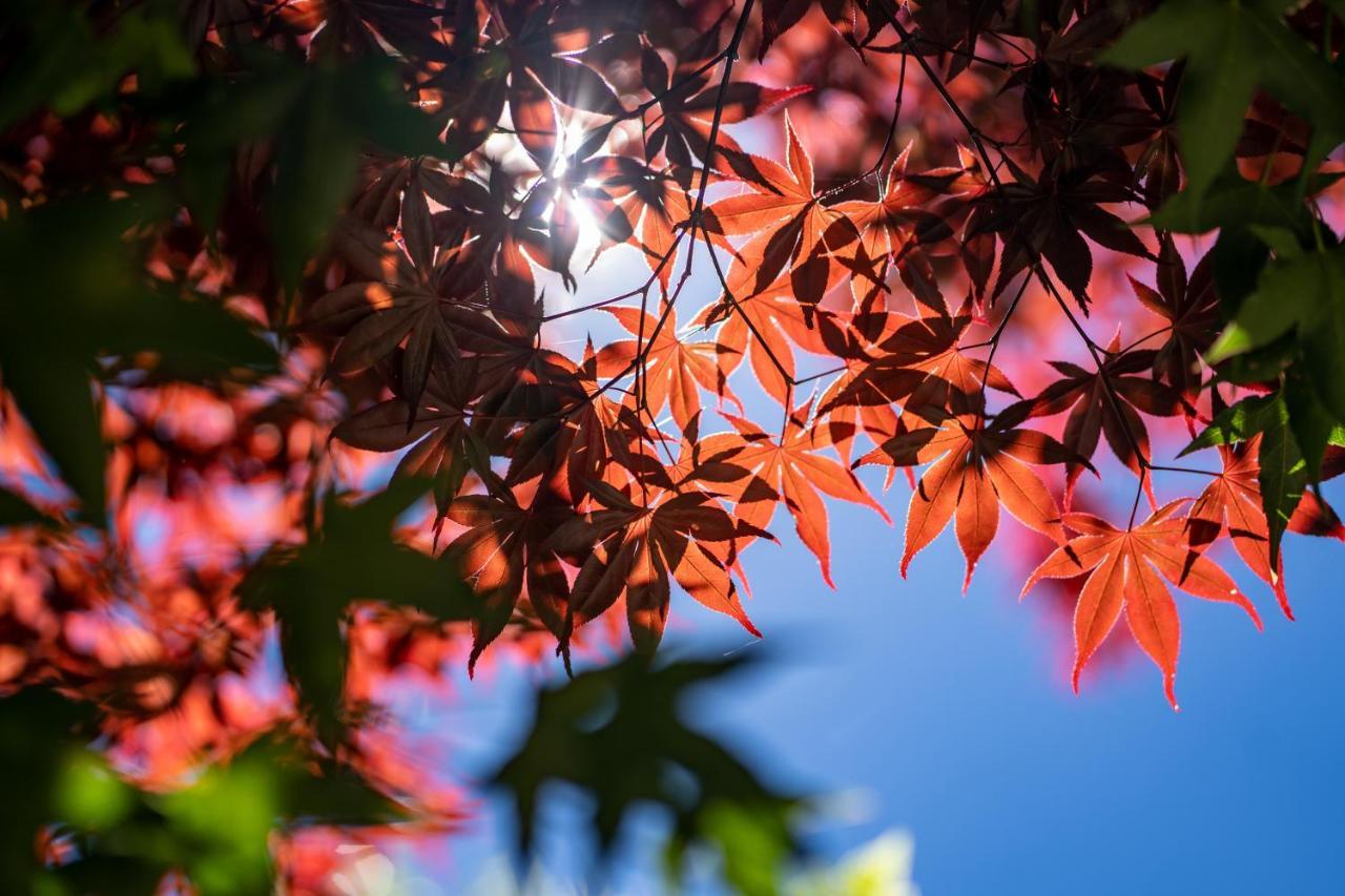 清境英格曼花園民宿 Renai Exterior foto